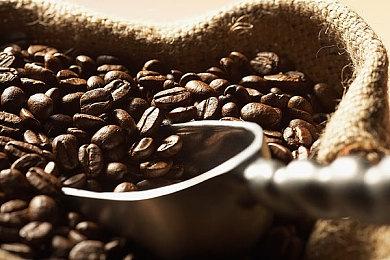 《优米雅的炼金工房》开场动画公布 3月21日发售