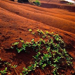 任天堂公布《塞尔达传说：王国之泪》DL版需要16.3G容量