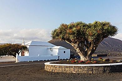 动作新游《Snowy's Wish》免费发布 雪人大战圣诞老人